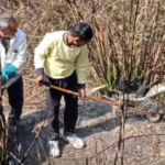 Two pythons rescued from Ganganahar track in Modinagar