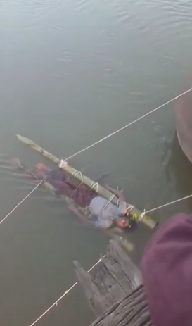 Amroha snake bite death | अमरोहा में सांप के काटने के बाद इलाज न मिलने से 13 वर्षीय अमित की मौत