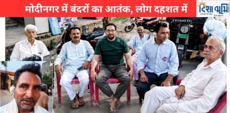 Modinagar Monkey Attack