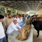 Kanha Gaushala Inaugurated in Niwari